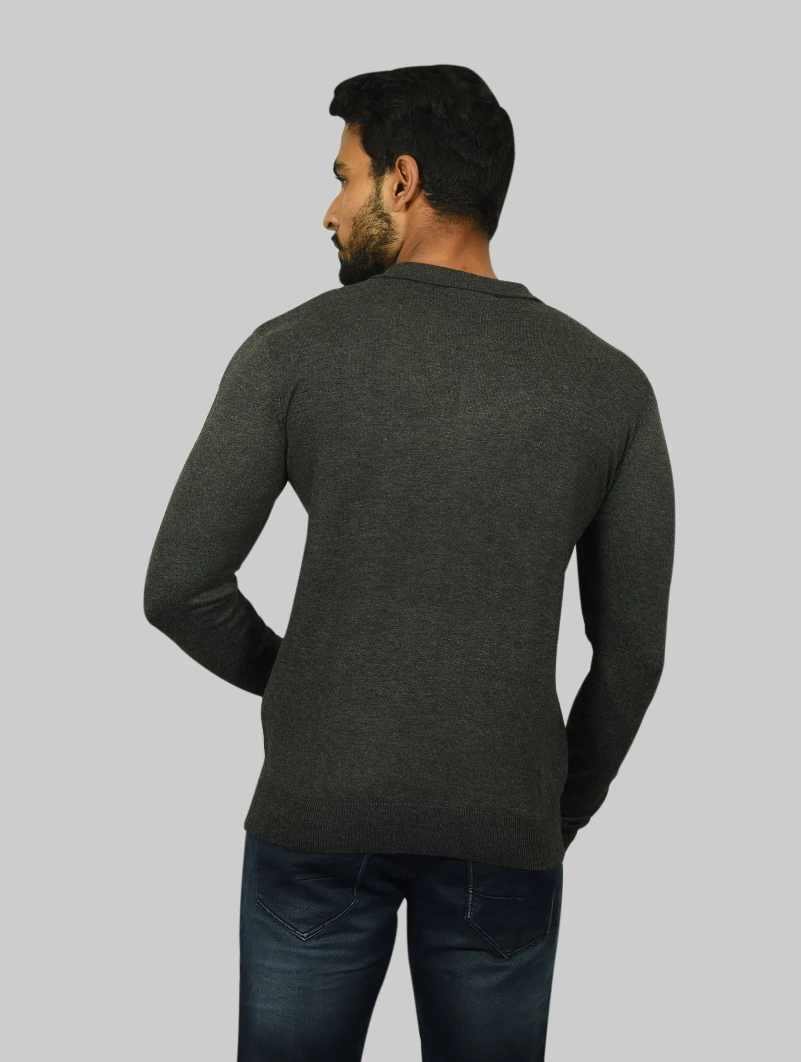Collared Smart Fit Full Sleeves T-Shirt