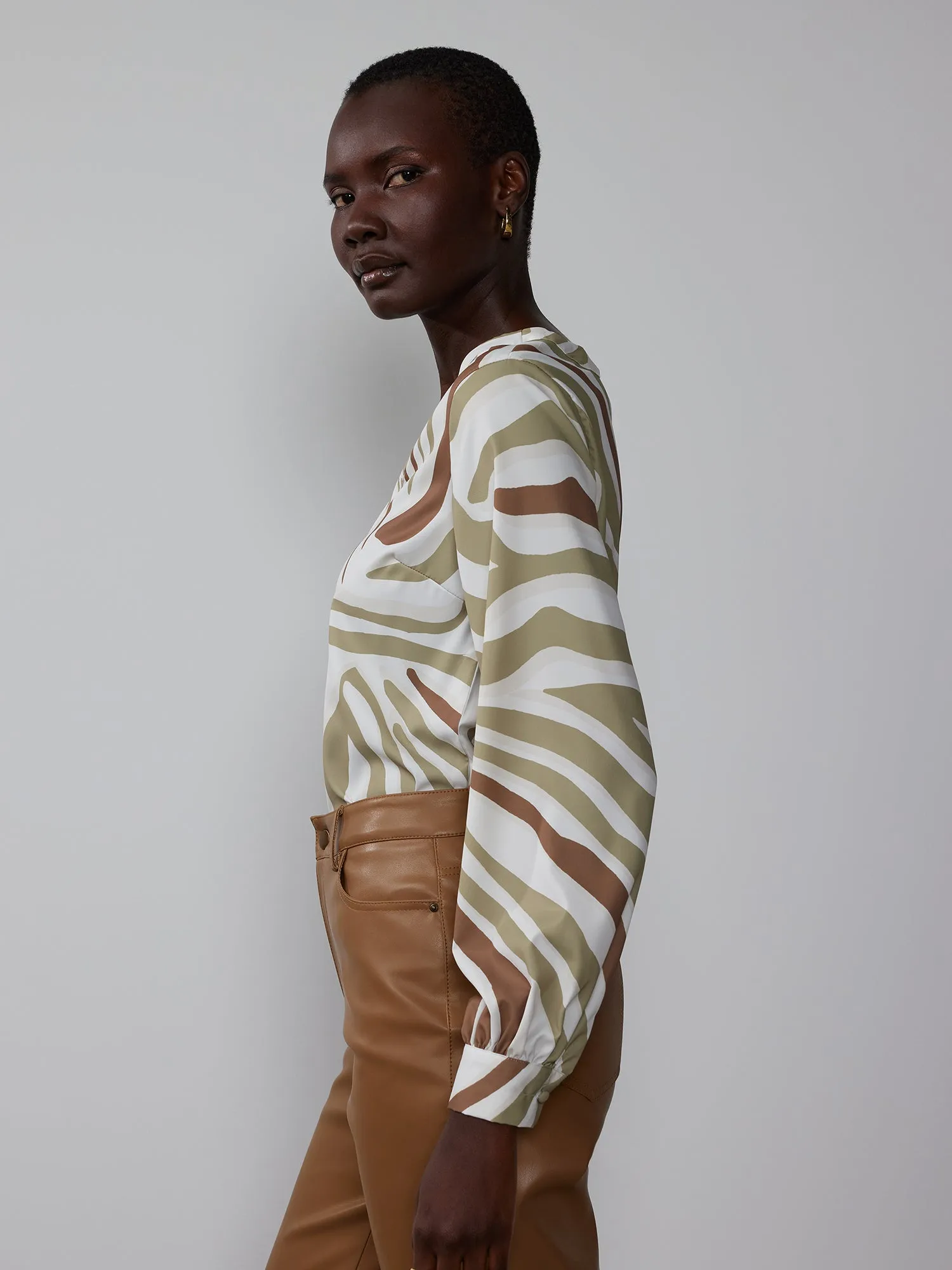 Long Sleeve V-Neck Zebra Print Blouse