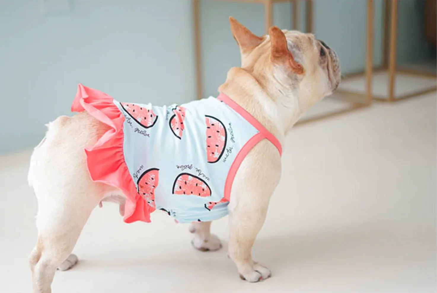 Watermelon Frenchie Shirt or Sundress
