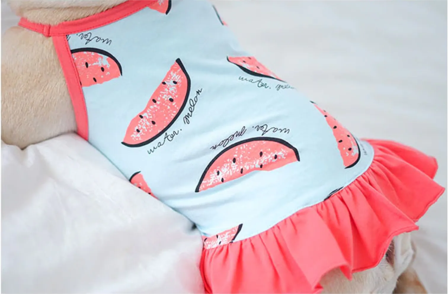 Watermelon Frenchie Shirt or Sundress