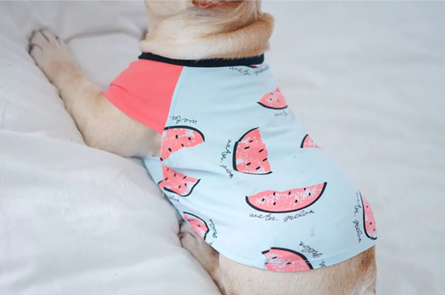 Watermelon Frenchie Shirt or Sundress